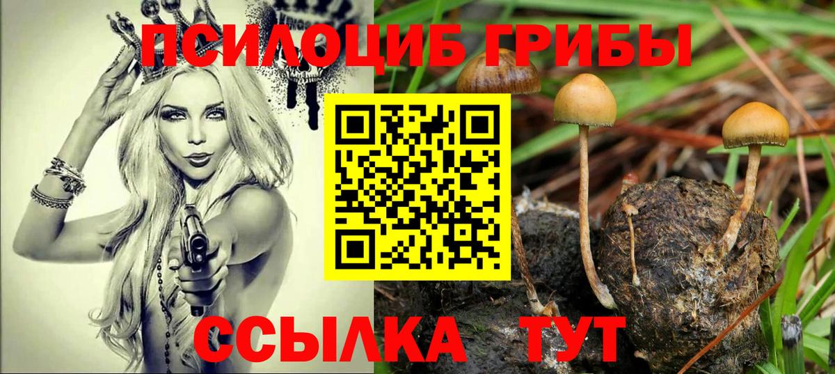 Первоуральск  Псилоцибиновые грибы мицелий  Вход с VPN 