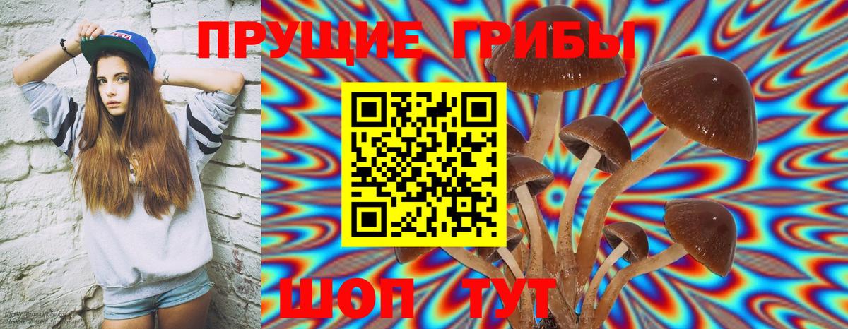 Галлюциногенные грибы Cubensis Первоуральск